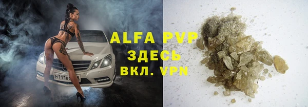 индика Алзамай